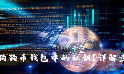 如何安全导入狗狗币钱包中的私钥？详解步骤与注意事项